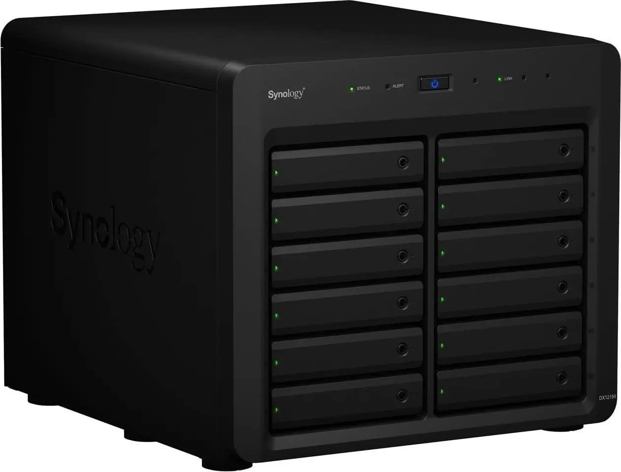 Сетевой накопитель Synology Expansion Unit DX1215II фото