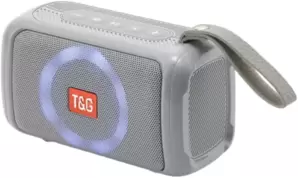 Беспроводная колонка T&G TG-193 (серый) фото