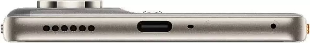 Tecno Camon 40 12GB/256GB (титан) фото