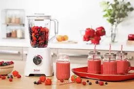 Стационарный блендер Tefal BL4201 фото
