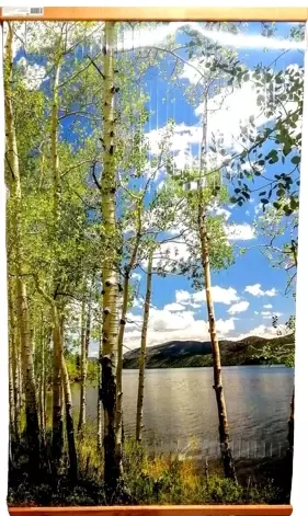 ТеплоМакс Домашний очаг (березки)