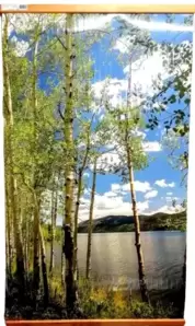 Инфракрасный обогреватель ТеплоМакс Домашний очаг (березки) фото