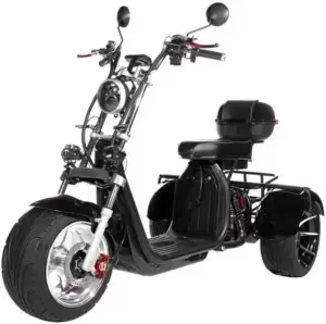Электроскутер Terax City Trike X2 фото