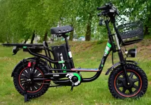 Электровелосипед Terax DVINA XD03 фото