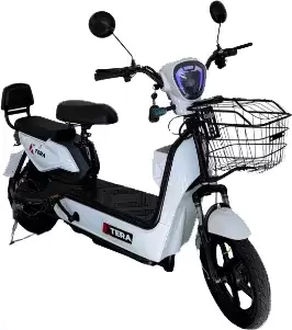 Terax Kengo JY01 (белый)