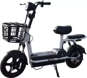 Электроскутер Terax Rex NS002 фото