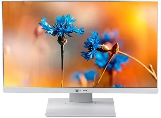 ТЕСЛА P24WP 2108500