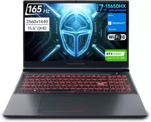 Игровой ноутбук Thunderobot Hunter Blade R15 JT091X00CRU фото