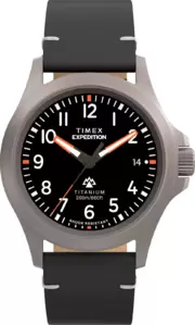 Наручные часы Timex TW2W78000 фото