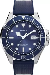 Наручные часы Timex TW2Y05000 фото