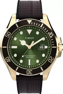 Наручные часы Timex TW2Y05300 фото