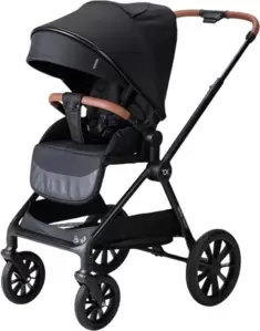 Детская прогулочная коляска Tomix Travel Z1/1 (Black)