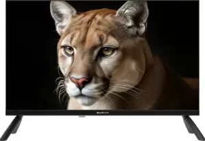 Телевизор Topdevice 24" TDWC24BH1000I фото