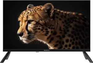 Телевизор Topdevice 24" WILDRED TDWC24BH2210I