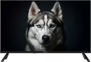 Телевизор Topdevice 32" WILDRED TDWC32BF2110V