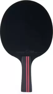 Ракетка для настольного тенниса Torres Sport 1 TT23005 фото