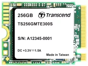 SSD Transcend MTE300S 256Gb TS256GMTE300S фото
