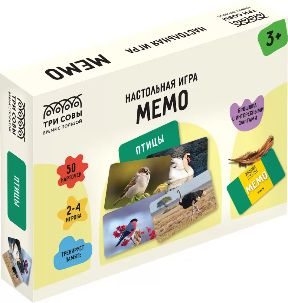 Три совы Мемо. Птицы НИ_55047