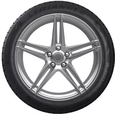 Зимняя шина Triangle IcelynX TI501 215/65R16 102T фото