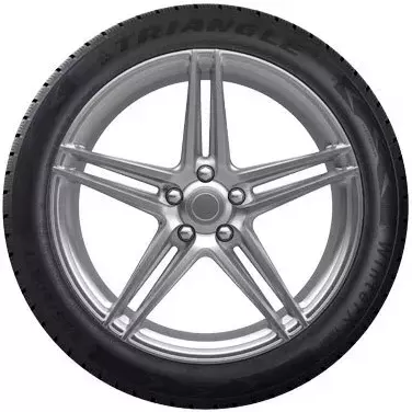 Зимняя шина Triangle TW401 195/55R20 95H фото