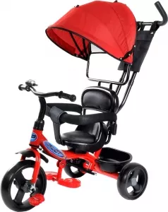 Велосипед детский Trike Pilot PT1DR 10/8&#34; 2020 (красный) фото