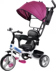 Велосипед детский Trike Pilot PT1V 10/8&#34; 2020 (фиолетовый) фото