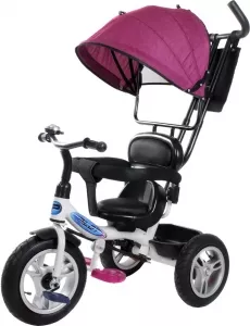 Велосипед детский Trike Pilot PTA1V 12/10&#34; 2020 (фиолетовый) фото