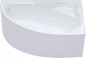 Акриловая ванна Triton Изабель 170x100 левая (с каркасом, сифоном, экраном) фото