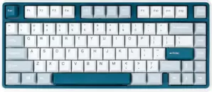 Varmilo VXB81 Bluebell Varmilo EC V2 Daisy