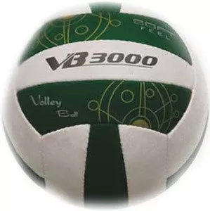 Мяч волейбольный VB-3000 (8270-01) фото