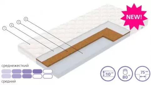 Матрас Vegas Splash 70x186 фото