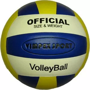 Мяч волейбольный Vimpex Sport (VLPVC3002) фото