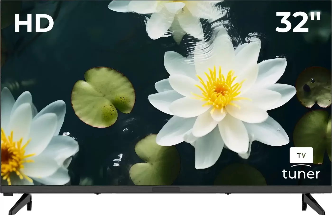 Витязь 32LH0224