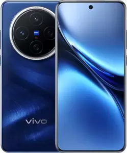 Vivo X200 12GB/256GB китайская версия (синий) фото