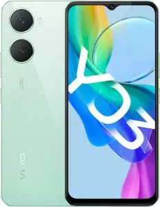 Vivo Y03 4GB/128GB международная версия (мятный зеленый) фото