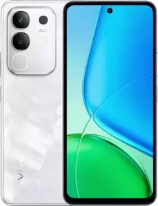 Vivo Y29 8GB/256GB международная версия (ледяное озеро)