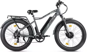 Электровелосипед VOLTECO BigCat Dual Next (серый) фото