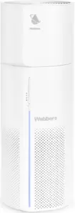 Очиститель воздуха Webber AP8250 фото