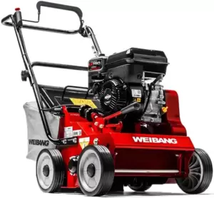 Скарификатор Weibang WB 384RB