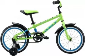 Детский велосипед Welt Dingo 16 2021 (зеленый/голубой) фото