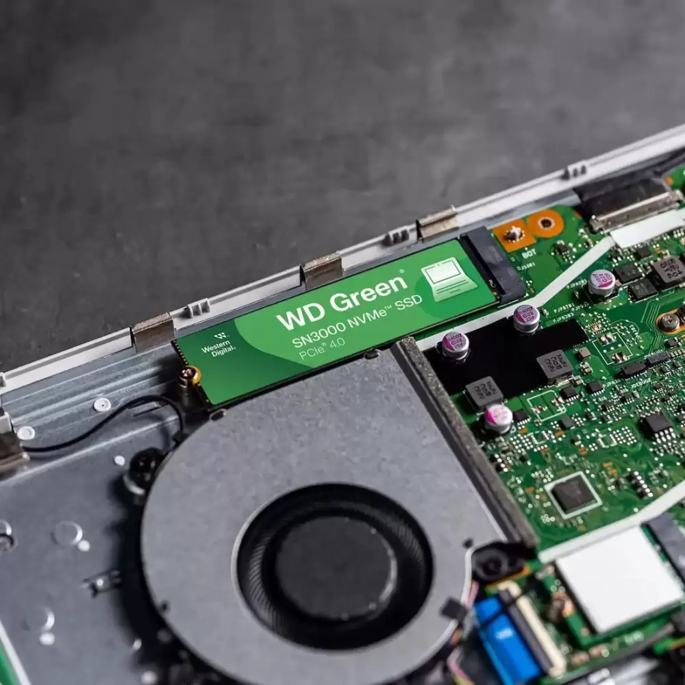 SSD Western Digital Green SN3000 1TB WDS100T4G0E фото