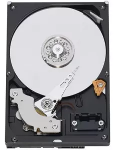 Жесткий диск Western Digital WD1002FBYS 1000 Gb фото