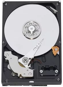 Жесткий диск Western Digital WD10EACS 1000 Gb фото