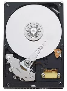 Жесткий диск Western Digital WD2500BB 250 Gb фото