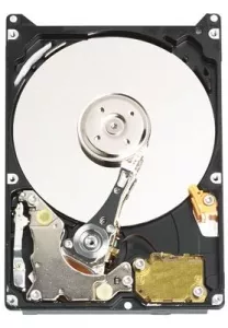 Жесткий диск Western Digital WD800BEVE 80 Gb фото