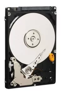 Жесткий диск Western Digital WD800BEVS 80 Gb фото