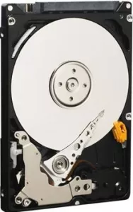 Жесткий диск Western Digital WD800BEVT 80 Gb фото