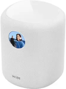 WiiM Sound (белый)