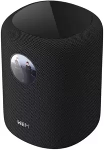 WiiM Sound (черный)