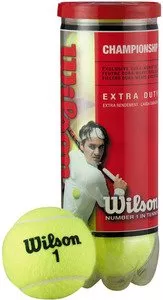 Мячи для большого тенниса Wilson Championship T1001E фото